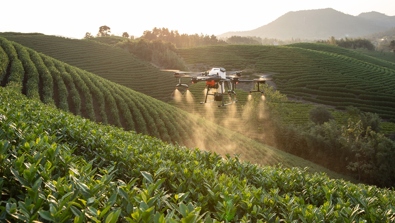 Fondo per gli investimenti innovativi delle imprese agricole 2023